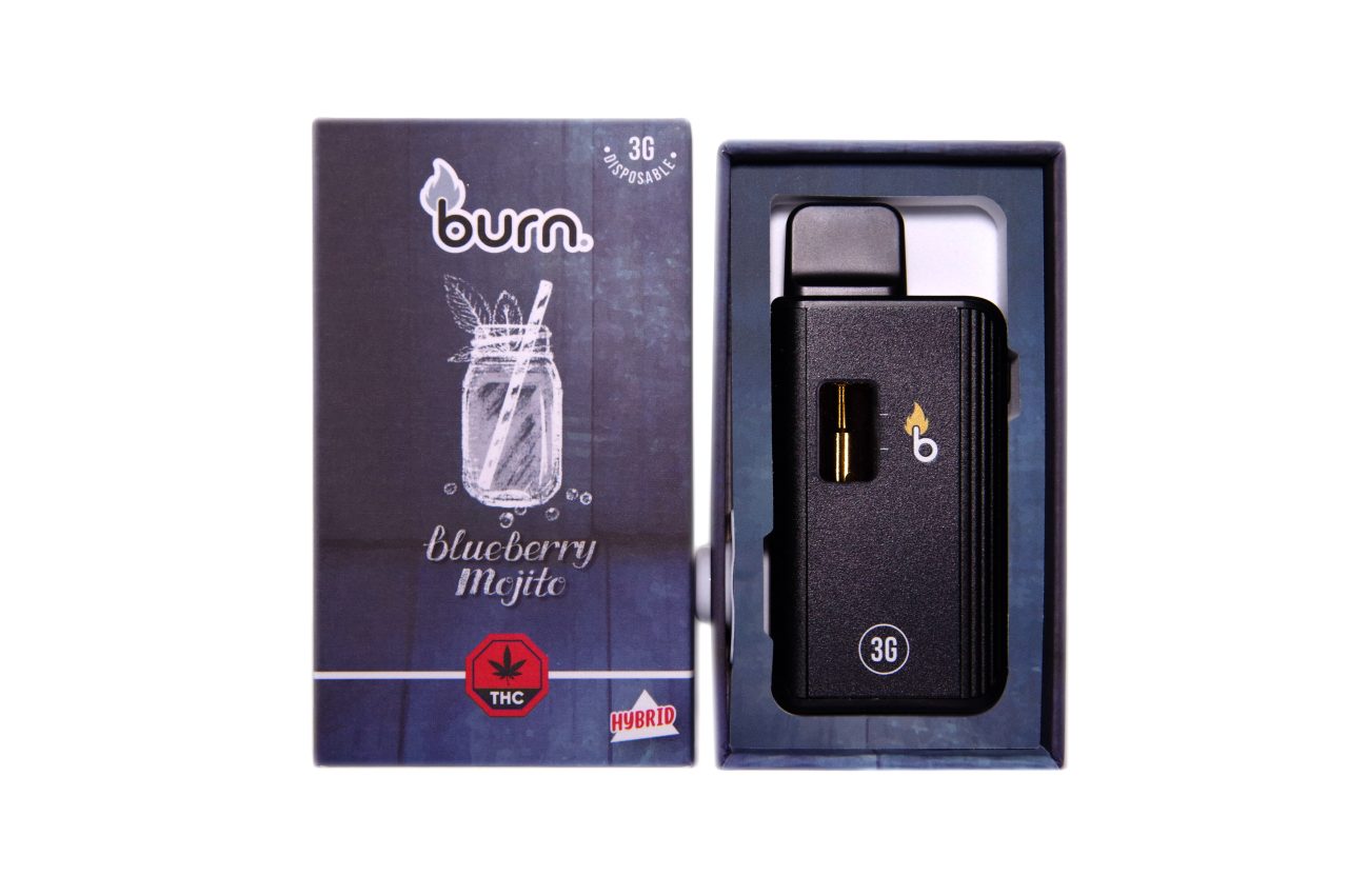 Burn 3G blueberry Mojito