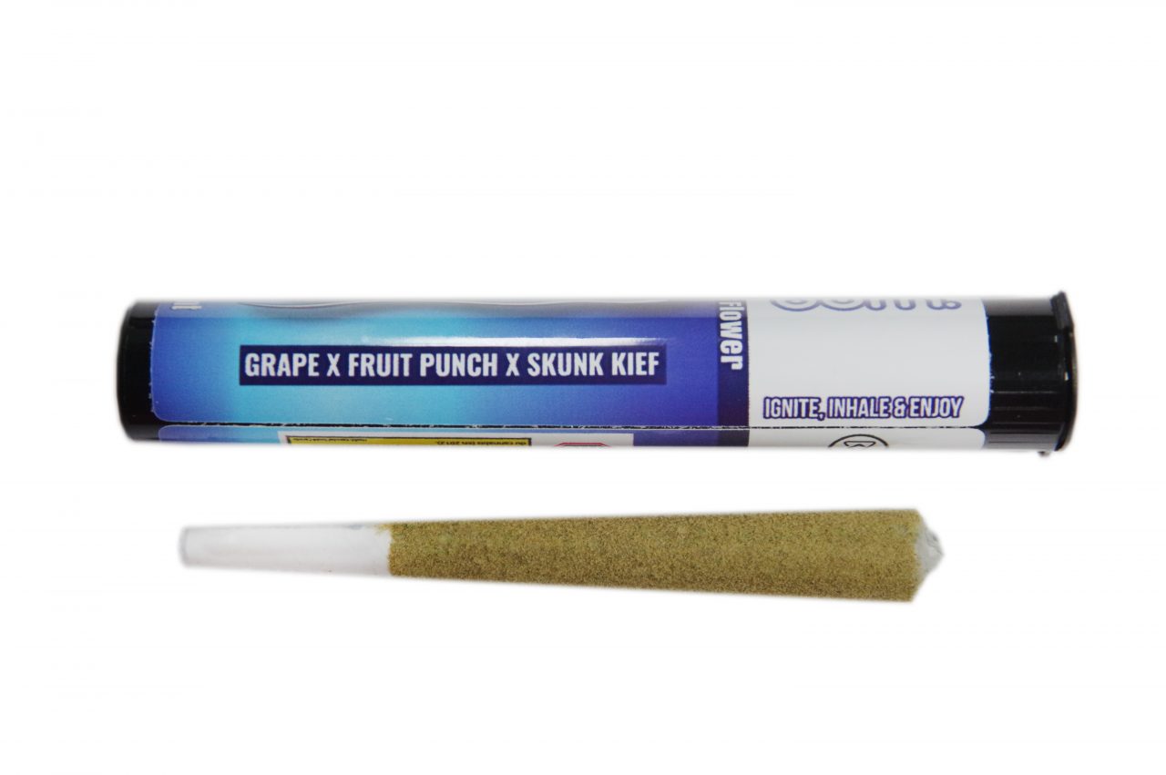 1.5G - Grape - Fruit Punch