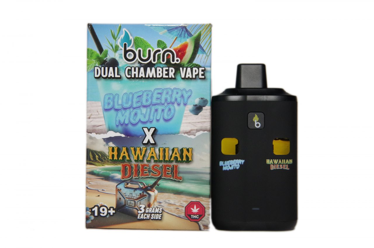 6G Dual Chamber - Blueberry Mojito/Hawaiin Diesel