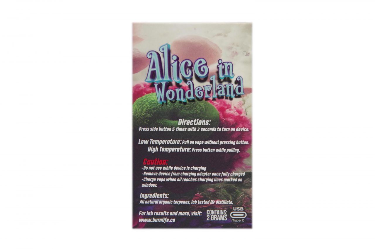 Alice in Wonderland - Image 2