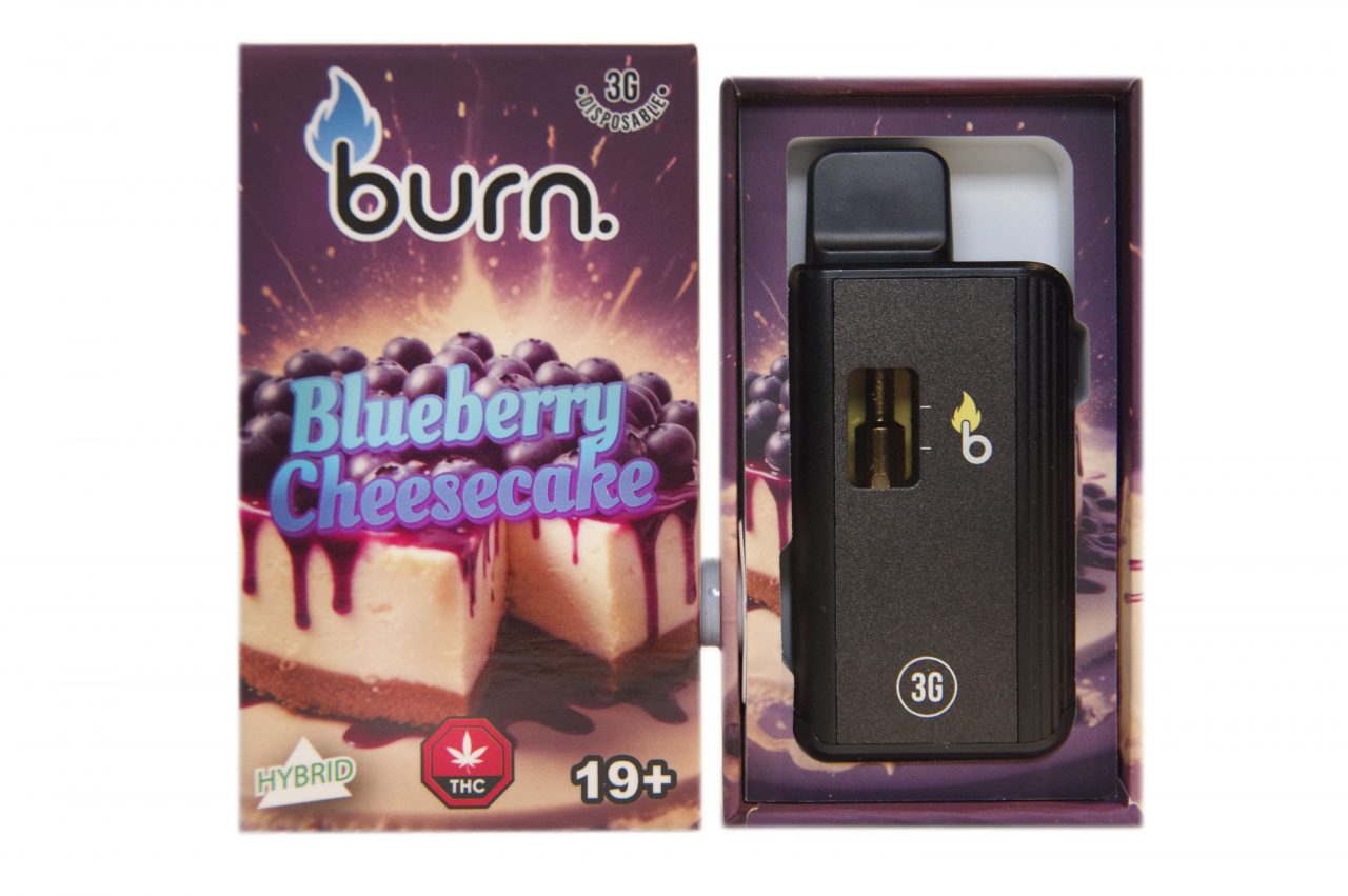 Burn - 3g - Blueberry Cheesecake (Hybrid)