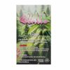Burn - 2g - Guava (Sativa) - Image 2