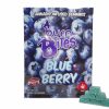 Blueberry - 500mg (50mg x 10)