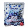 Burn Bites - Blue Raspberry