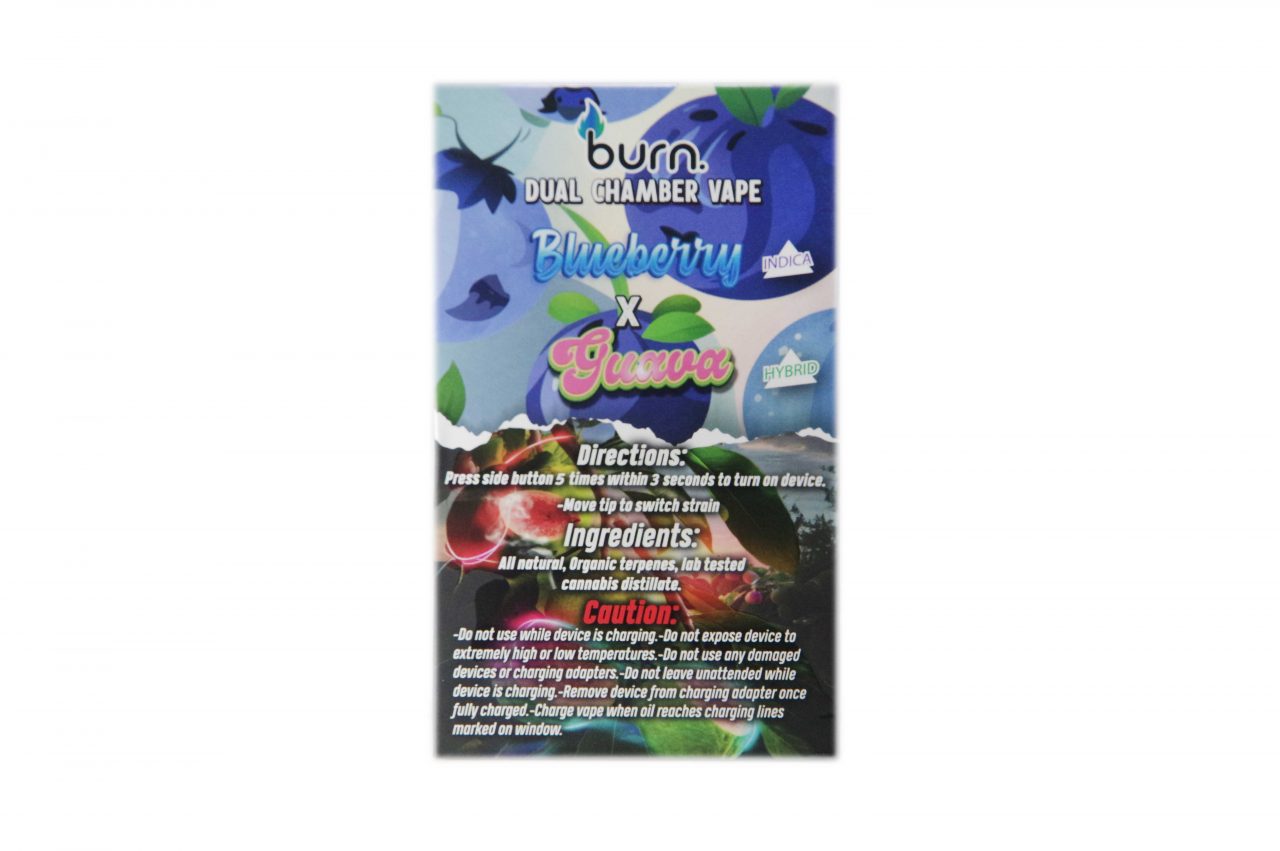 6G Dual Chamber - Blueberry/Guava - Image 2